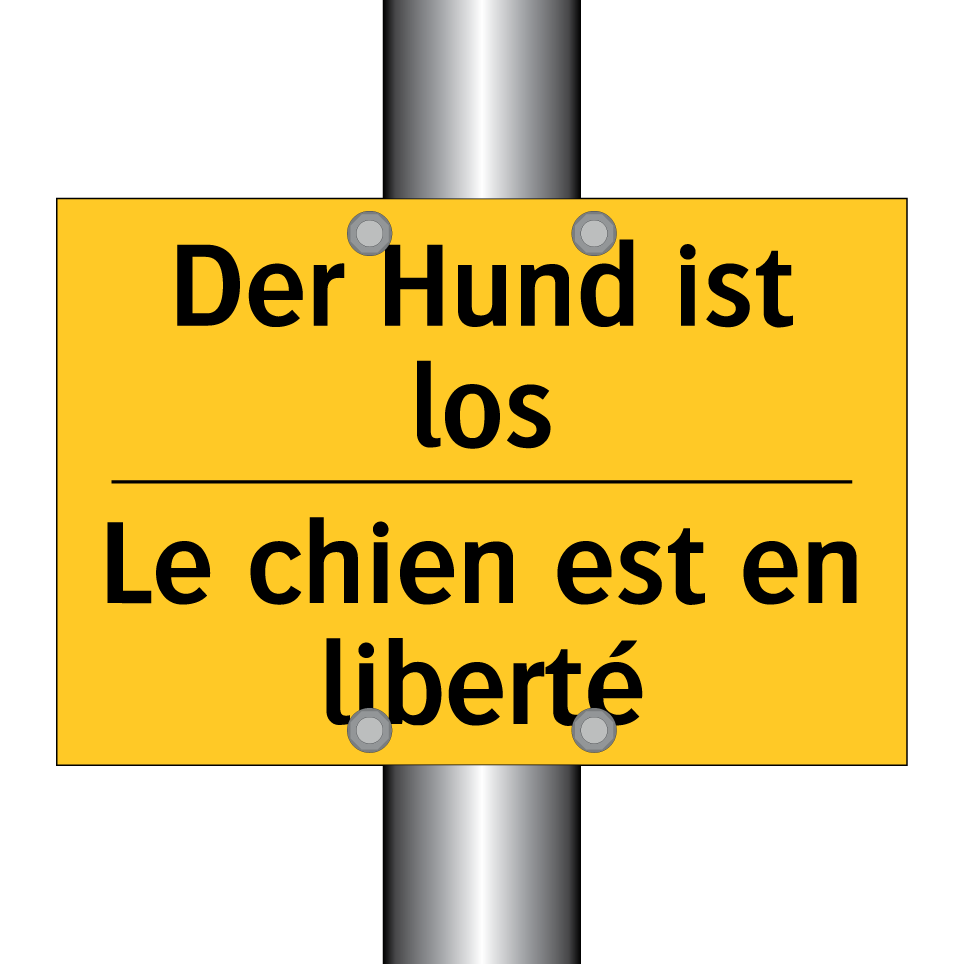 Der Hund ist los - Le chien est en liberté