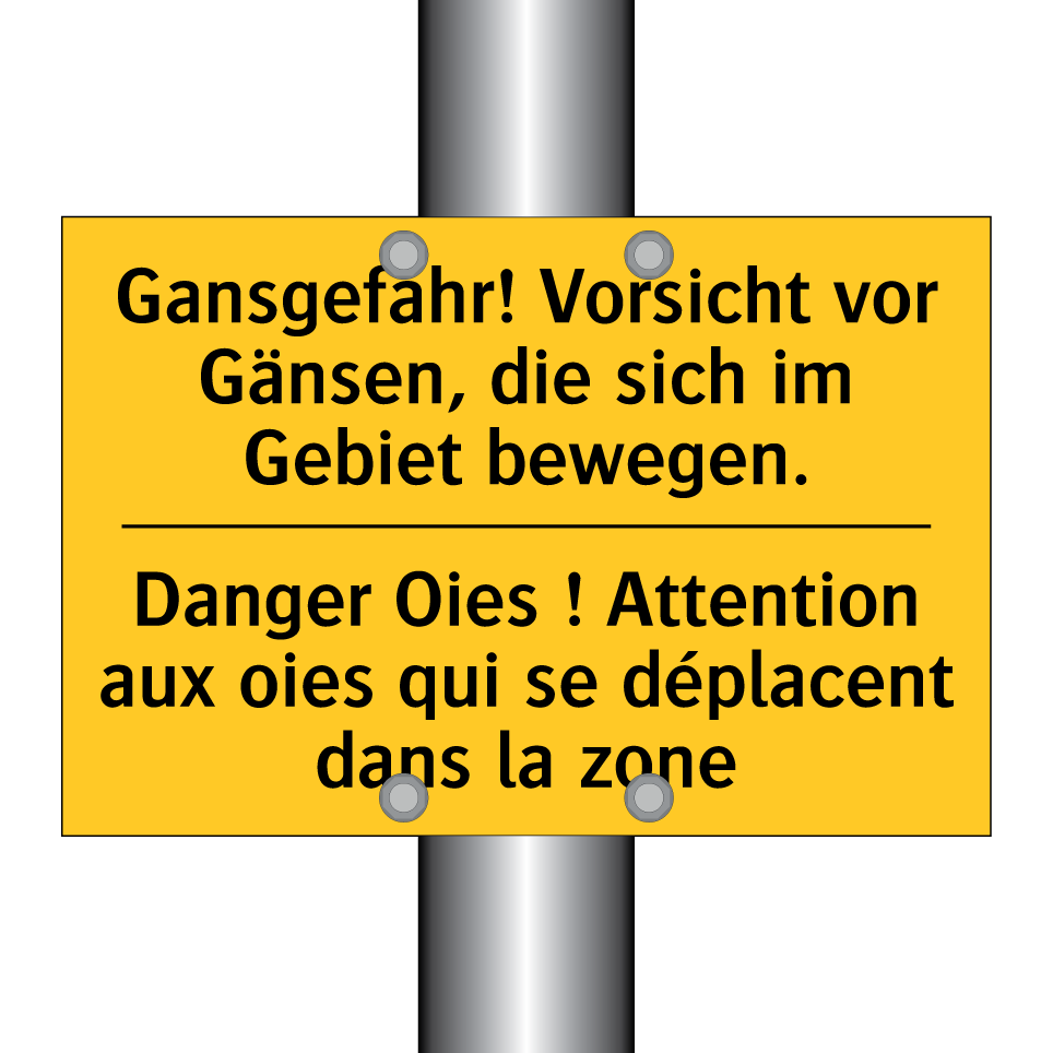 Gansgefahr! Vorsicht vor Gänsen,  /.../ - Danger Oies ! Attention aux oies  /.../