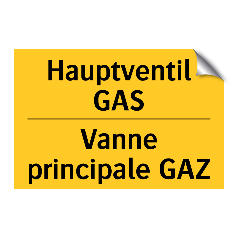 Hauptventil GAS - Vanne principale GAZ