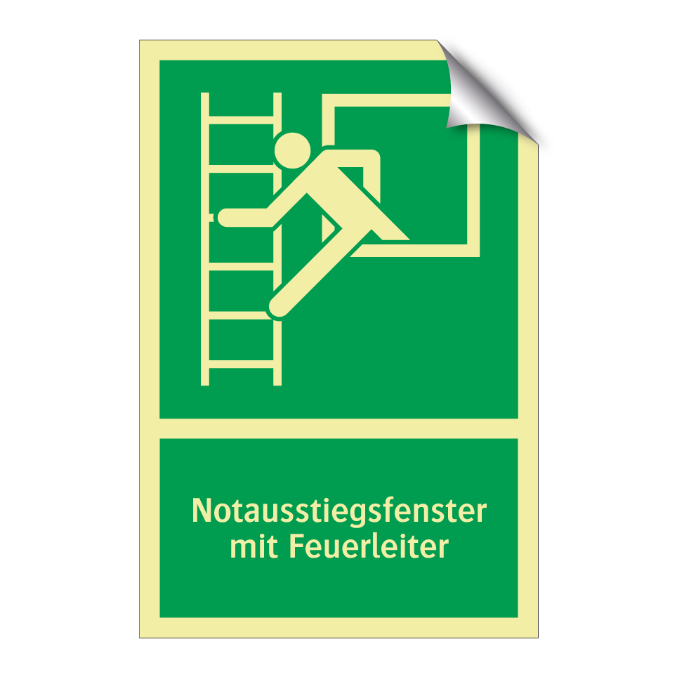 Notausstiegsfenster mit Feuerleiter