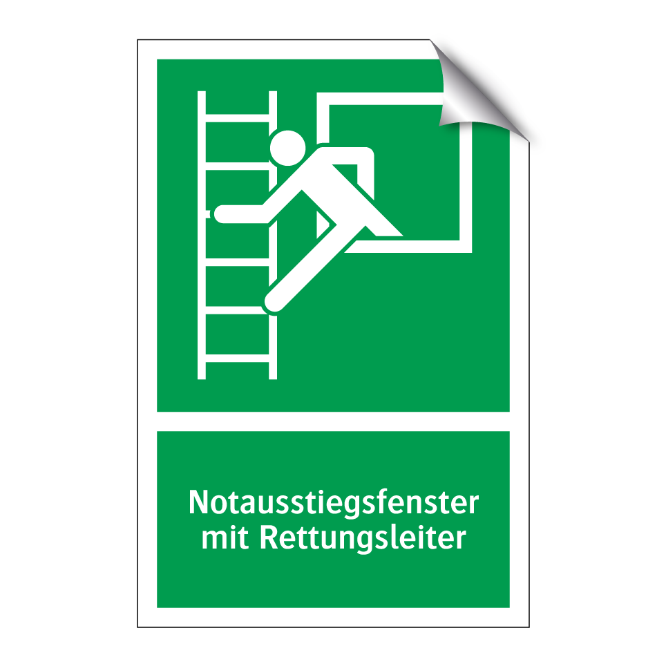 Notausstiegsfenster mit Rettungsleiter