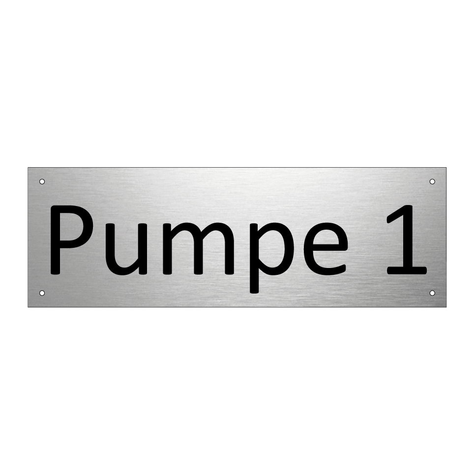Pumpe 1