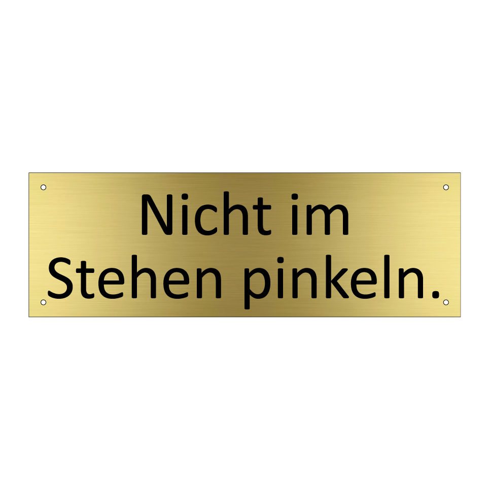 Nicht im Stehen pinkeln.