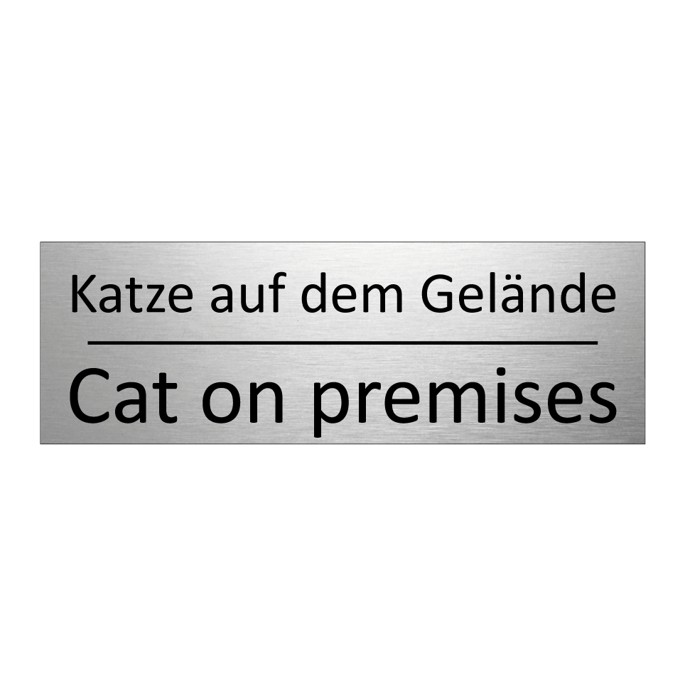 Katze auf dem Gelände - Cat on premises