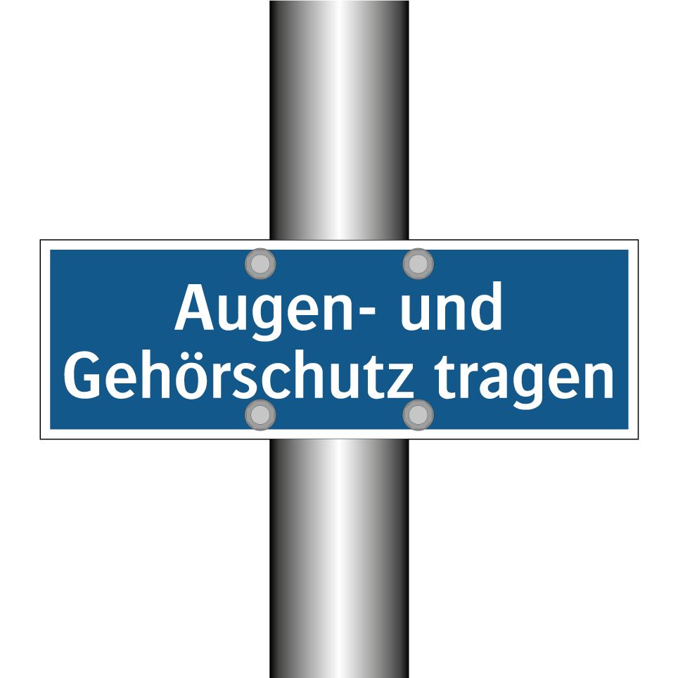 Augen- und Gehörschutz tragen