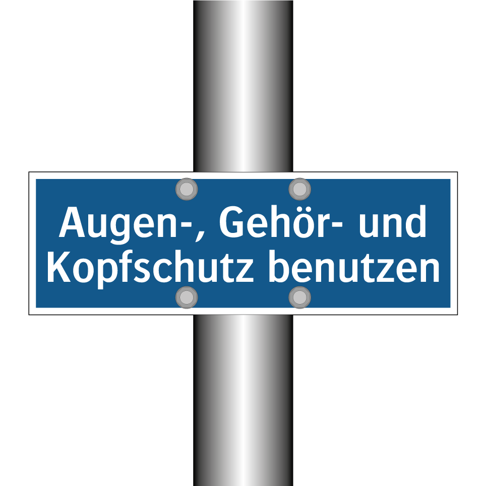 Augen-, Gehör- und Kopfschutz benutzen