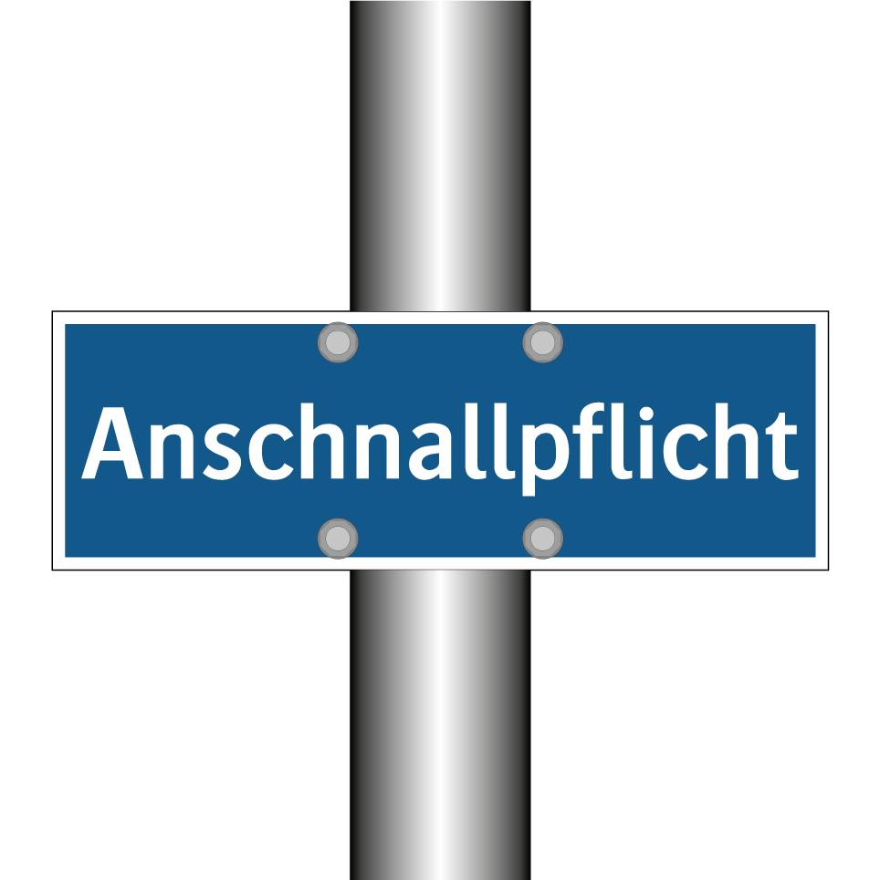 Anschnallpflicht