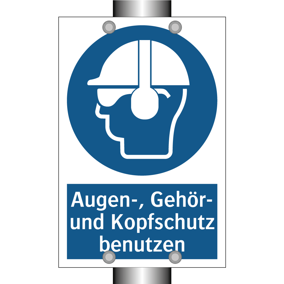 Augen-, Gehör- und Kopfschutz benutzen