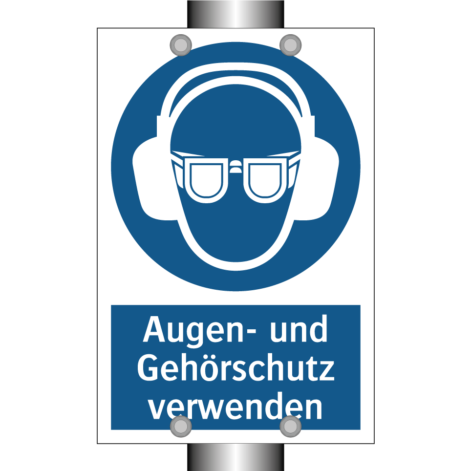 Augen- und Gehörschutz verwenden