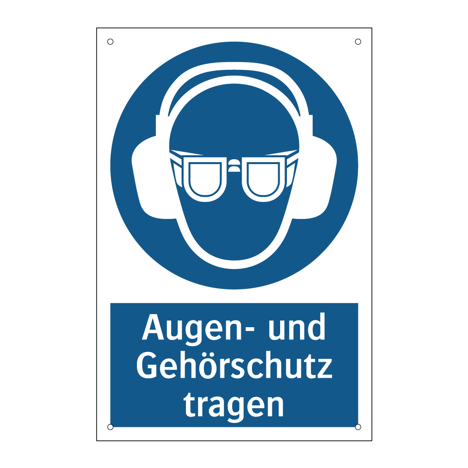 Augen- und Gehörschutz tragen