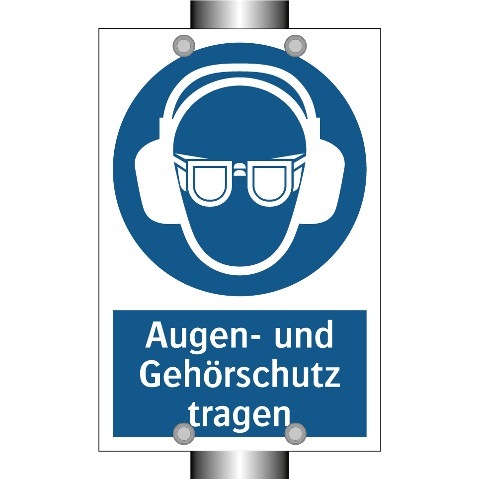 Augen- und Gehörschutz tragen