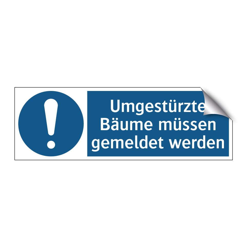 Umgestürzte Bäume müssen gemeldet werden