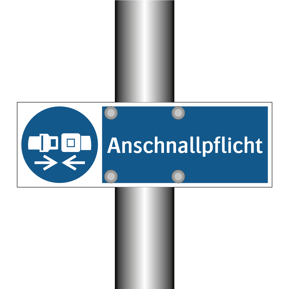 Anschnallpflicht
