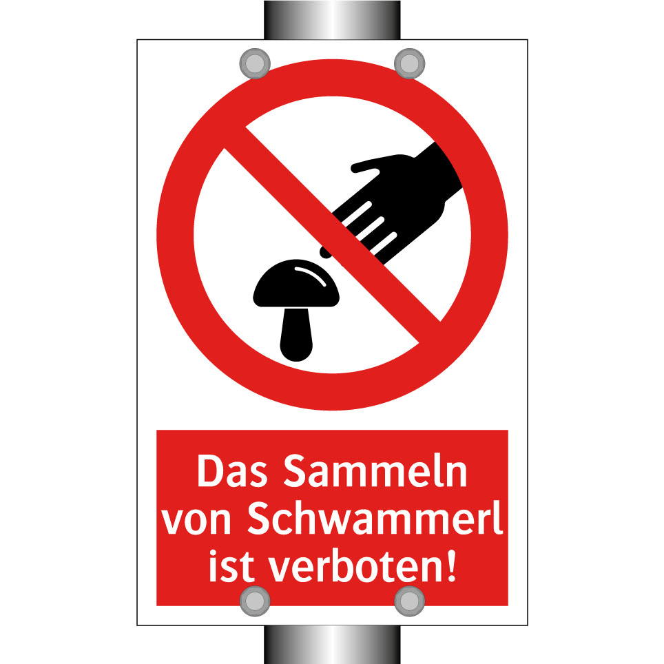 Das Sammeln von Schwammerl ist verboten!