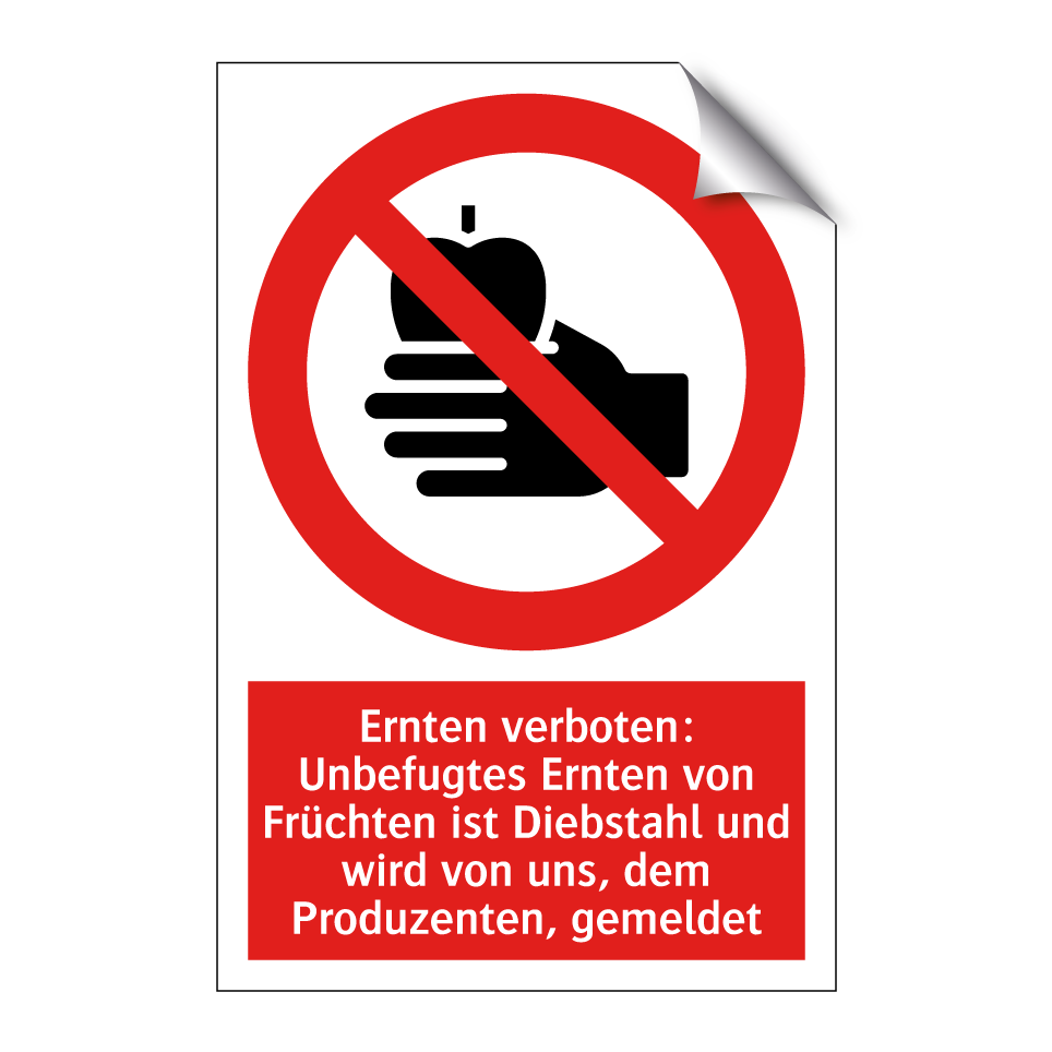 Ernten verboten: Unbefugtes Ernten von Früchten ist Diebstahl und wird von uns, dem Produzenten, gemeldet