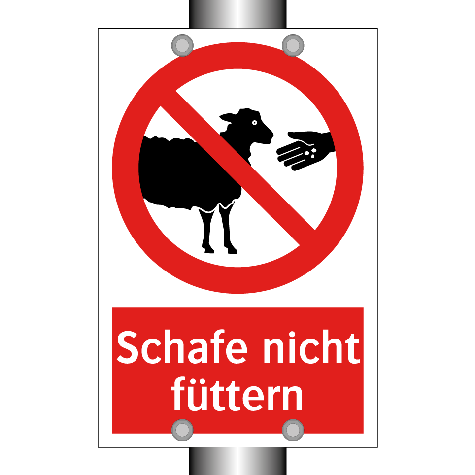 Schafe nicht füttern