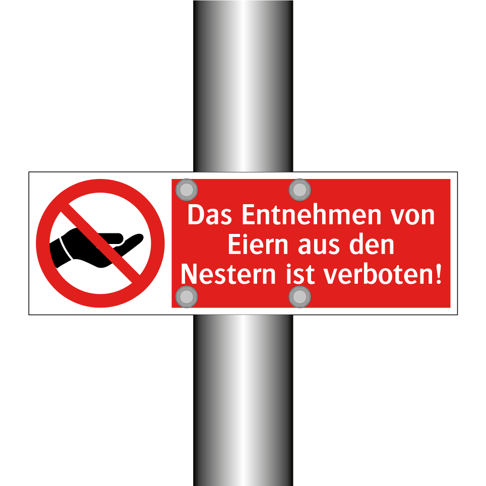 Das Entnehmen von Eiern aus den Nestern ist verboten!