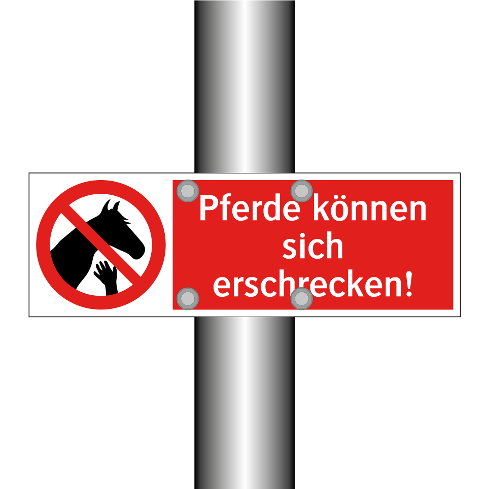 Pferde können sich erschrecken!