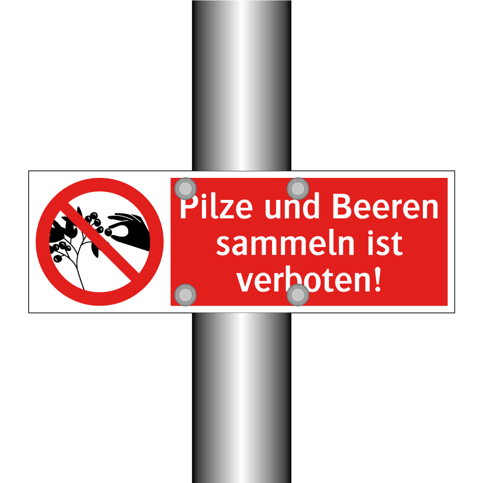 Pilze und Beeren sammeln ist verboten!