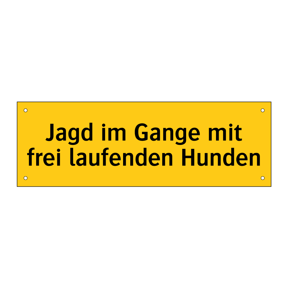 Jagd im Gange mit frei laufenden Hunden