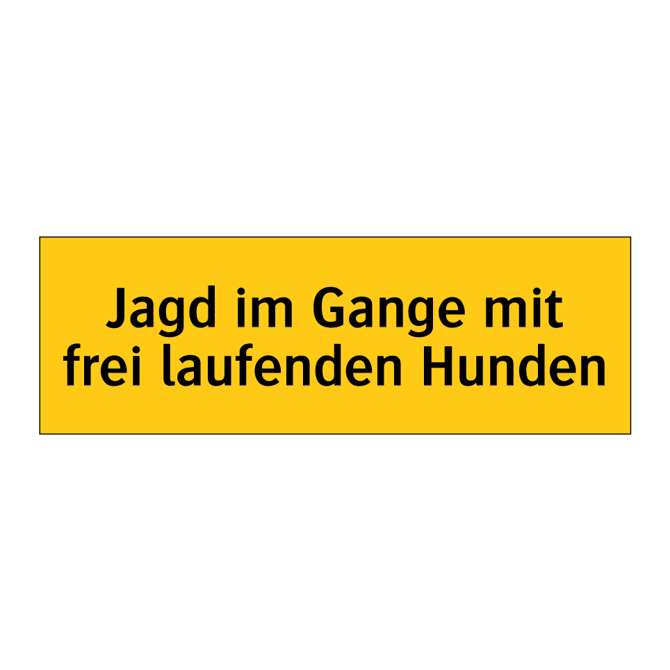 Jagd im Gange mit frei laufenden Hunden