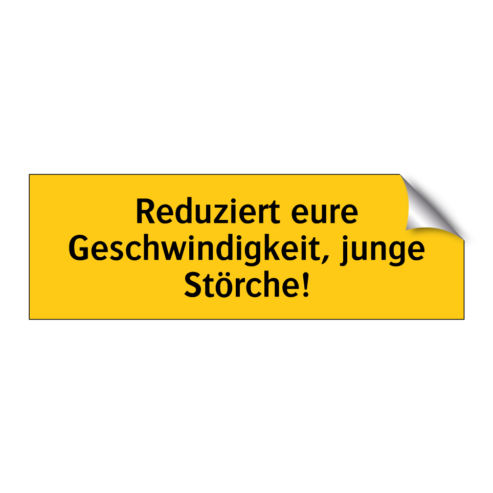 Reduziert eure Geschwindigkeit, junge Störche!