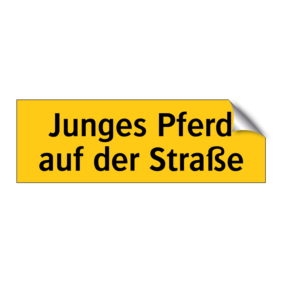 Junges Pferd auf der Straße