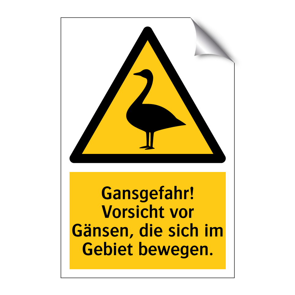 Gansgefahr! Vorsicht vor Gänsen, die sich im Gebiet bewegen.