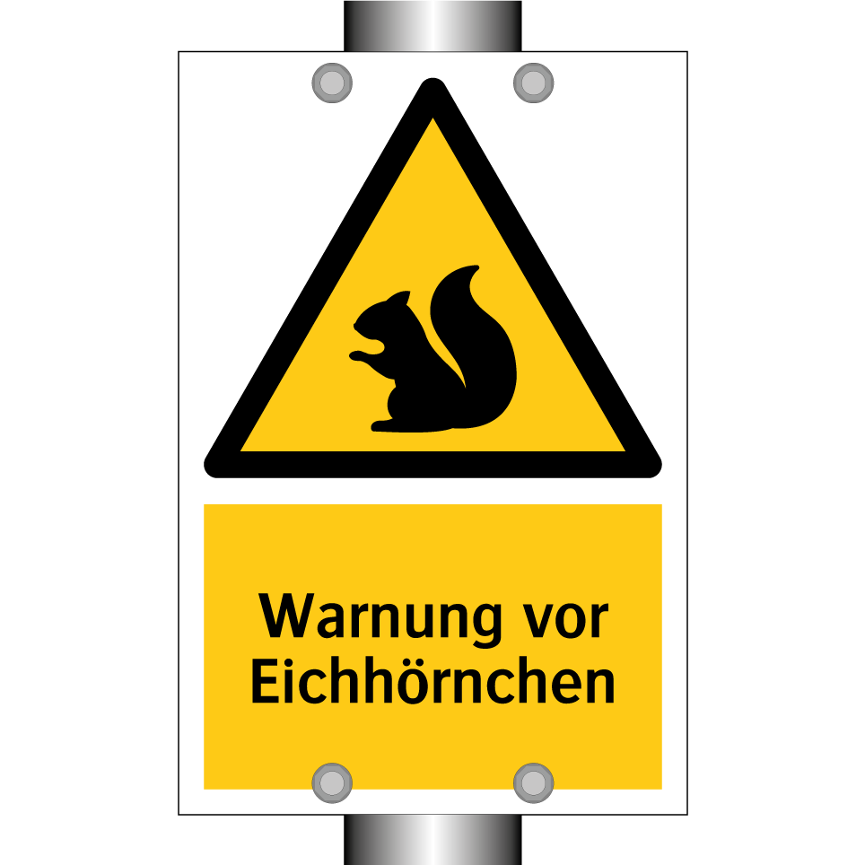 Warnung vor Eichhörnchen