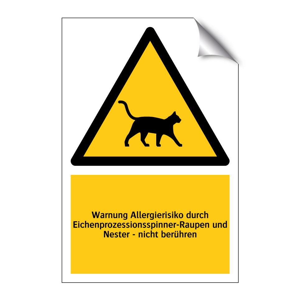 Warnung Allergierisiko durch Eichenprozessionsspinner-Raupen und Nester - nicht berühren