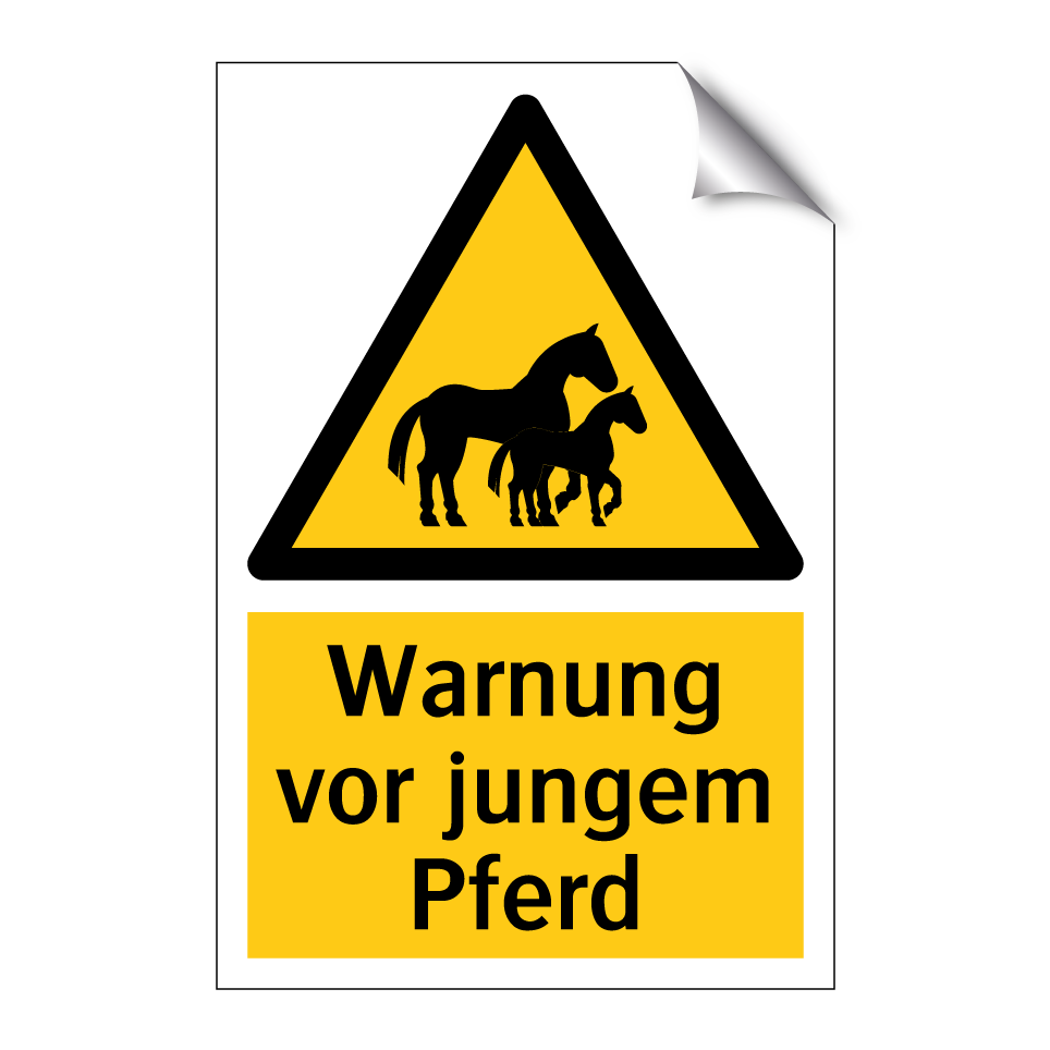 Warnung vor jungem Pferd