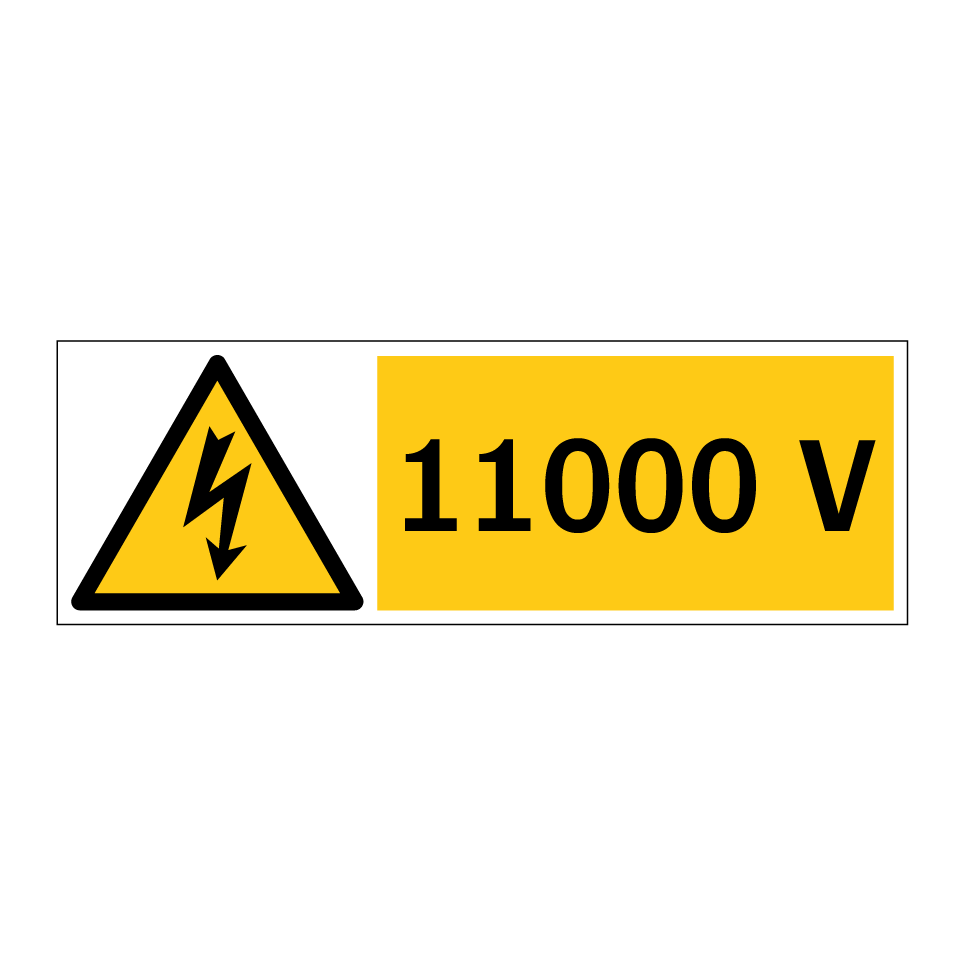 11000 V