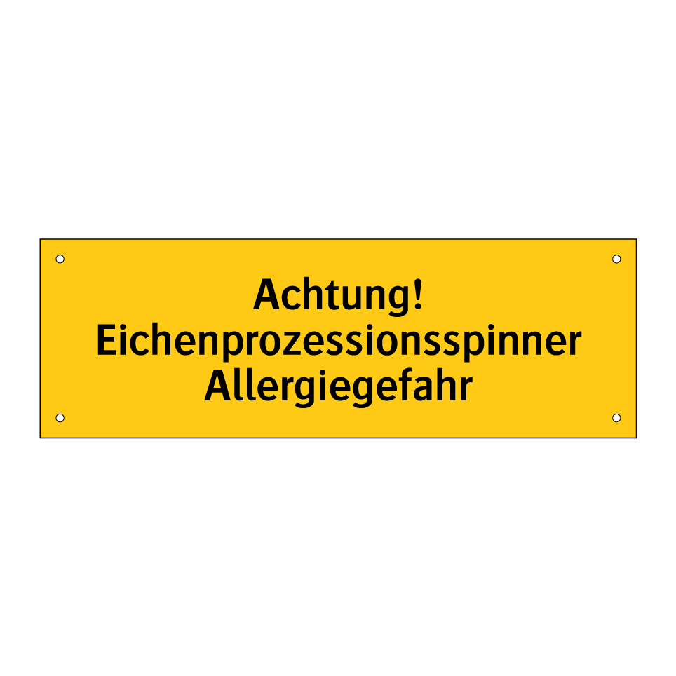 Achtung! Eichenprozessionsspinner Allergiegefahr