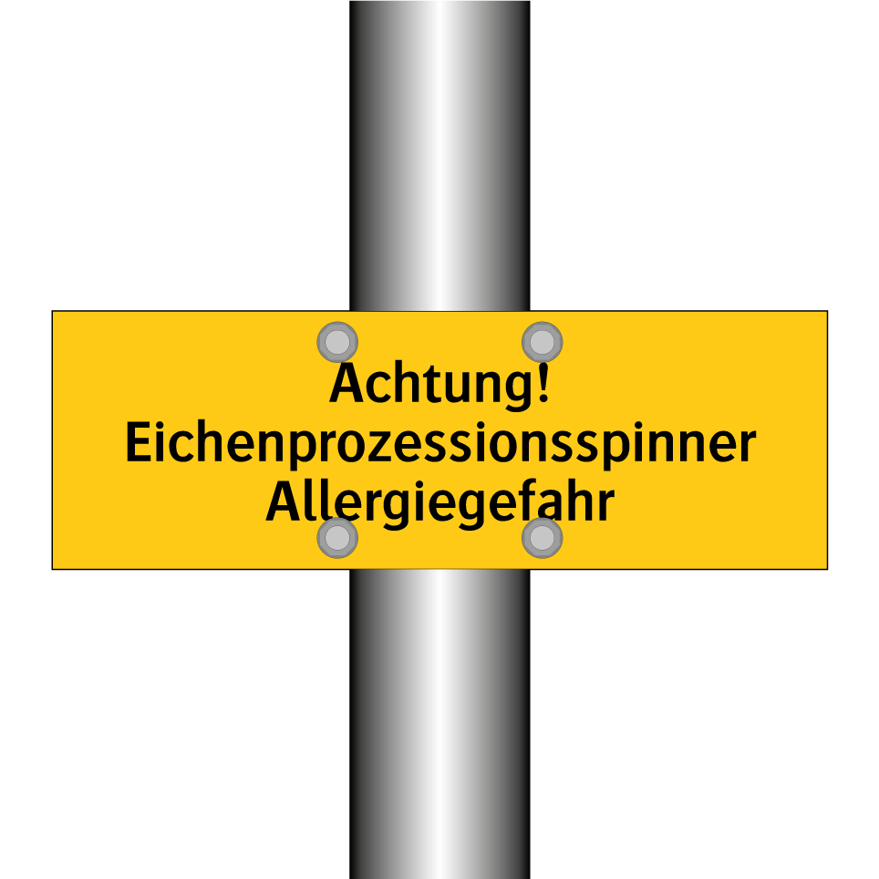 Achtung! Eichenprozessionsspinner Allergiegefahr