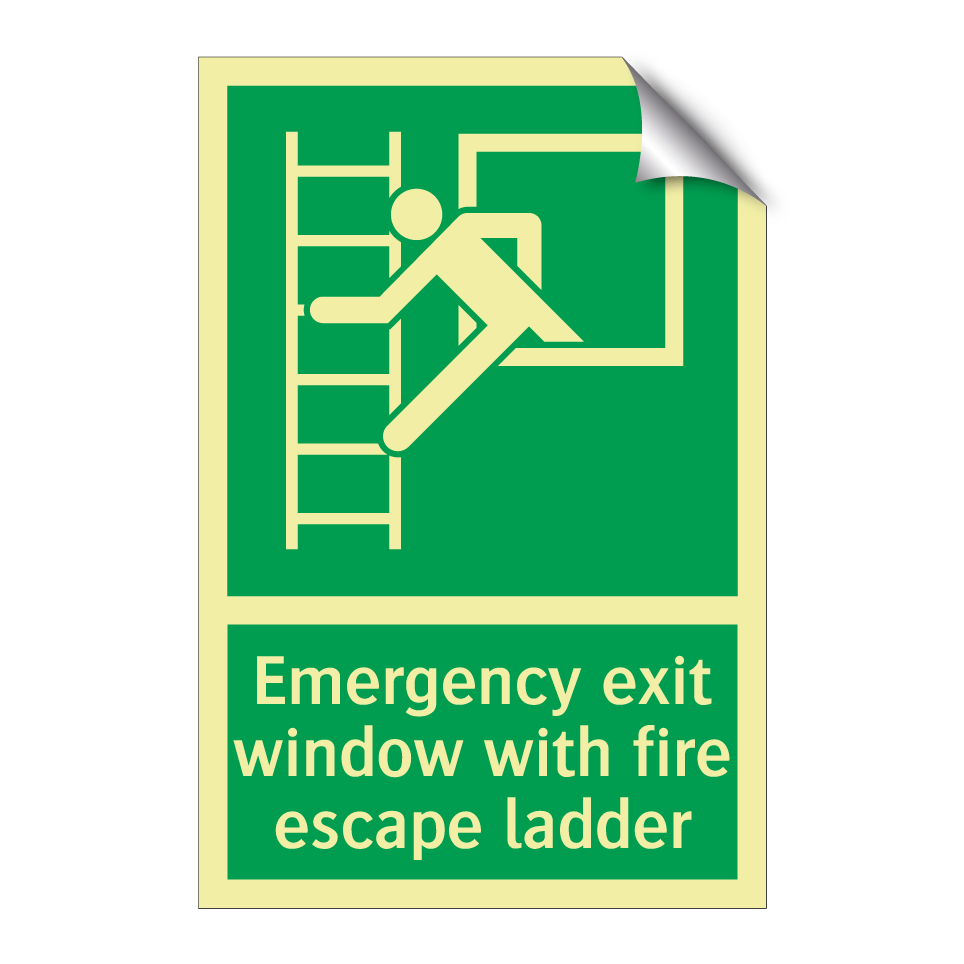 Emergency exit window with fire escape ladder