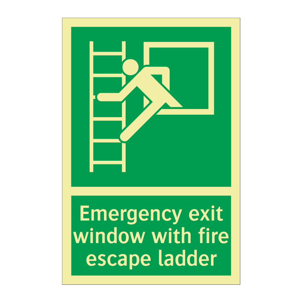 Emergency exit window with fire escape ladder