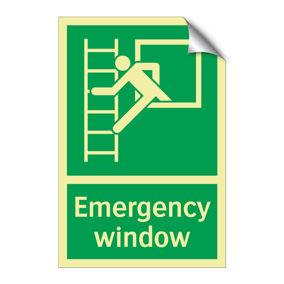 Emergency window
