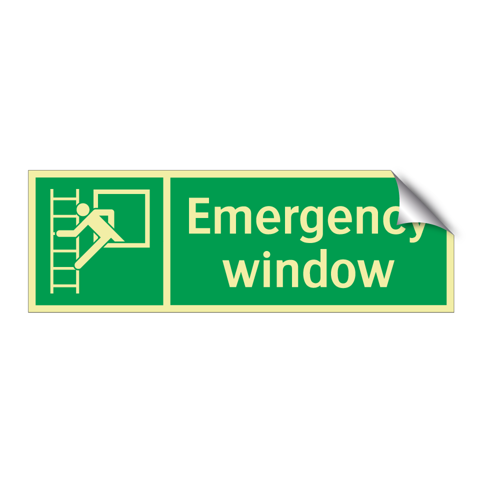Emergency window