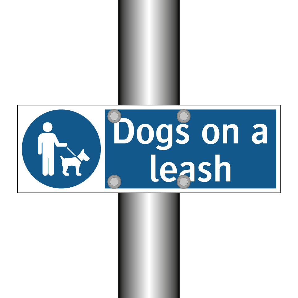 Dogs on a leash