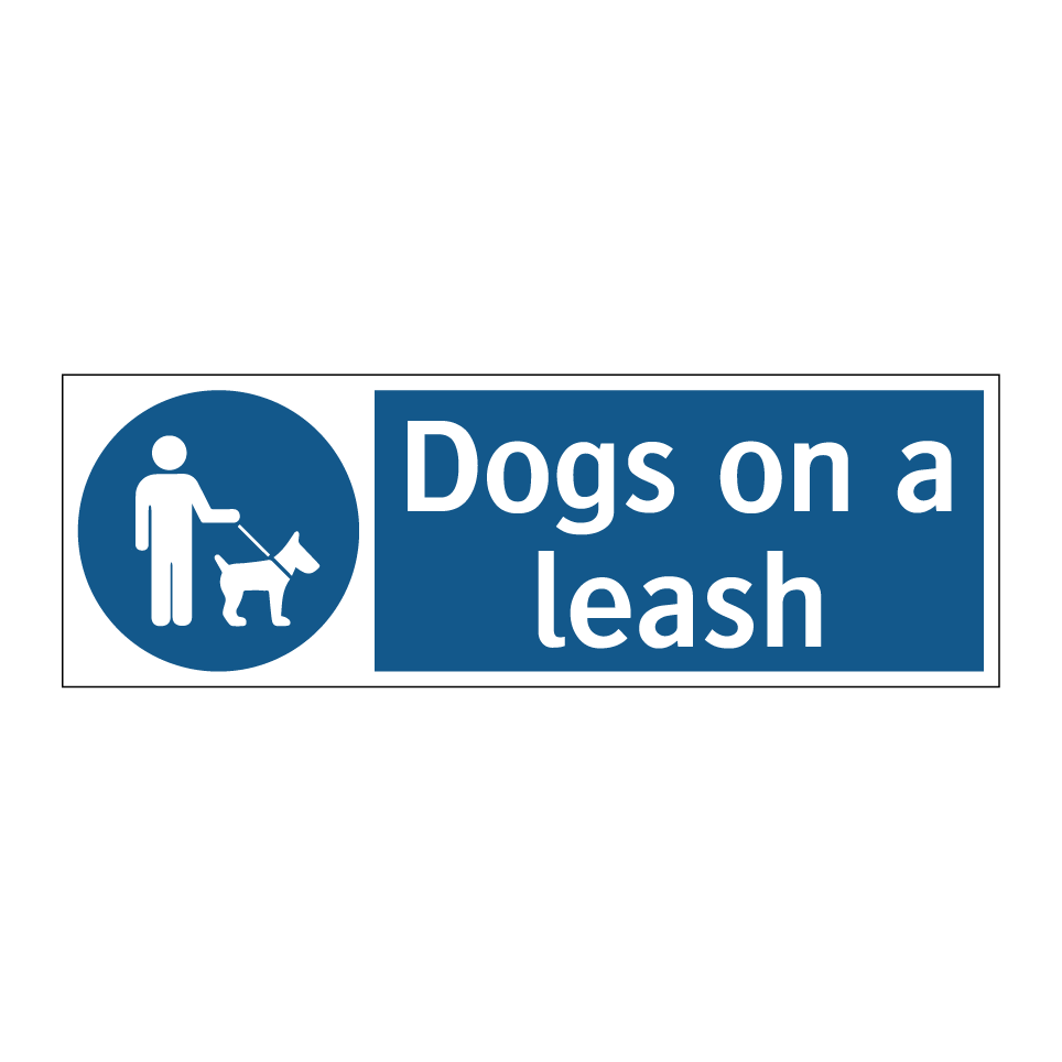 Dogs on a leash
