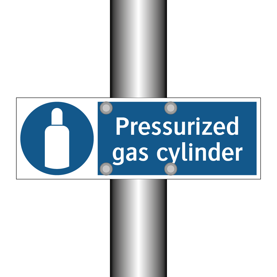 Pressurized gas cylinder