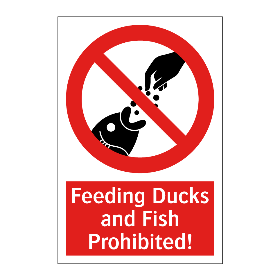 Feeding Ducks and Fish Prohibited!