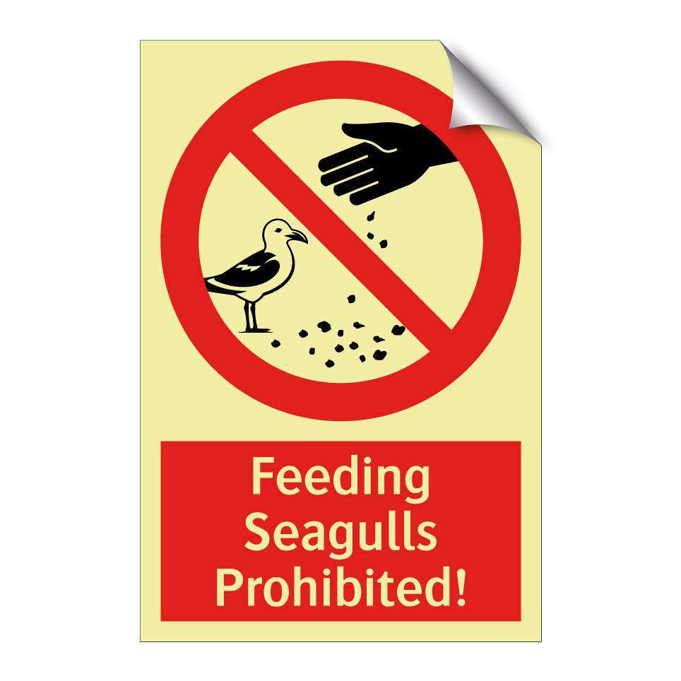 Feeding Seagulls Prohibited!