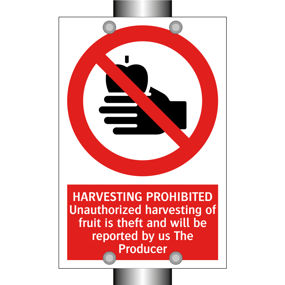 HARVESTING PROHIBITED Unauthorized harvesting of fruit is theft and will be reported by us The Producer