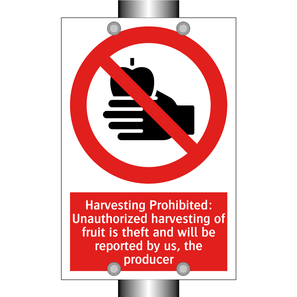 Harvesting Prohibited: Unauthorized harvesting of fruit is theft and will be reported by us, the producer