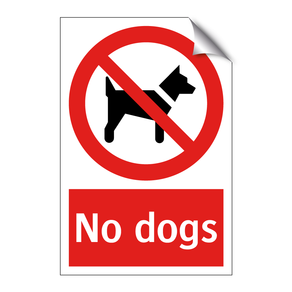 No dogs