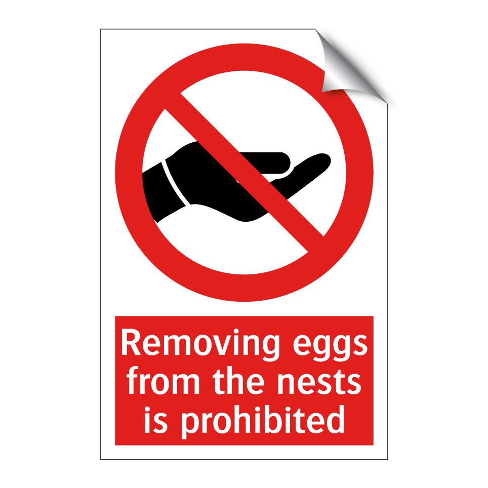 Removing eggs from the nests is prohibited