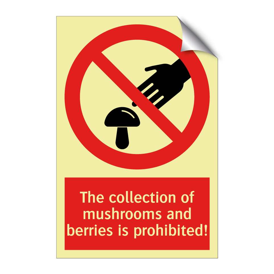 The collection of mushrooms and berries is prohibited!