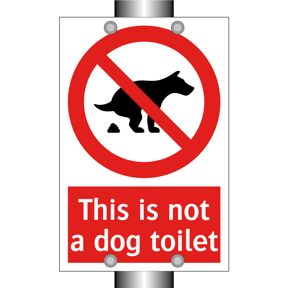 This is not a dog toilet
