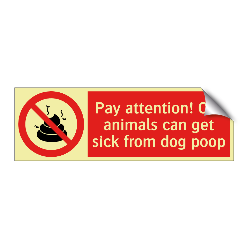 Pay attention! Our animals can get sick from dog poop